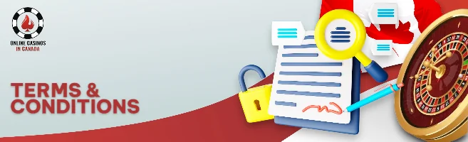 TERMS & CONDITIONS